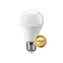 Geti A60 SAMSUNG čip studená bílá / LED žárovka / E27 / 9W