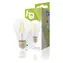 HQ LED žárovka retro s vláknem A60 E27 / Žárovka / E27 / 4 W / 370 lm / 2700 K / stmívatelná