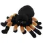 KEEL TOYS Keeleco Plyšový pavouk tarantule / 15 cm