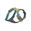 Ruffwear Front Range Postroj pro psy Spring Mountains - M