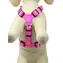 animALL Postroj popruhový růžový XS-S 30-44 cm/10 mm