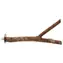 Bird Jewel Bidýlko dřevěné přírodní 20 cm