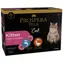 Prospera Plus Cat Kitten Kapsičky Multipack 12x 85g 
