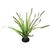 Repti Planet Rostlina travina Spartina 30cm