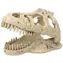 Repti Planet Dekorace T-REX lebka 13.3x8.5x9cm