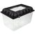 Boxy pro pavouky