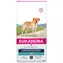 Eukanuba Labrador Retriever 12kg / granule pro psy / pro Labradorské retrívry 