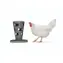 Beeztees Feed Tower Krmítko pro drůbež šedé 36cm