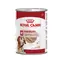 Royal Canin SHN Medium Ageing Loaf Can 410 g / Konzerva pro psy
