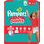 Pampers Baby Dry Pants Junior 11-17 kg (24 ks) / plenkové kalhotky / velikost 5 (11-17 kg)