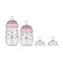 Little Dutch Kojenecké láhve 165 ml + 240 ml + 2 savičky Fairy Garden