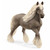 Schleich Farm World 13914 Klisna Silver Dapple / od 3 let