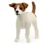 Schleich Farm World 13916 Jack Russell terriér / od 3 let