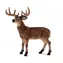 Mojo Animal Planet Jelen běloocasý / od 3 let