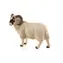 Mojo Animal Planet Beran Hampshire / od 3 let