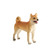 Mojo Animal Planet Pes Shiba Inu / od 3 let