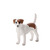 Mojo Animal Planet Jack Russell teriér / od 3 let