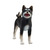 Mojo Animal Planet Pes Shiba Inu černý / od 3 let