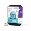 Ozobot Bit+ startovací sada – programovatelný robot bílá