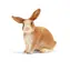 Schleich Farm World 13827 Králík / od 3 let