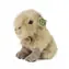 RAPPA Plyšová kapybara 18 cm / ECO-FRIENDLY / od 0 měsíců