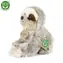RAPPA Plyšový lenochod sedící 18 cm / ECO-FRIENDLY / od 0 měsíců