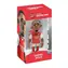 MINIX Football: Club Arsenal - GABRIEL JESÚS / od 3 let