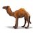 Collecta Dromedár / od 3 let