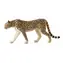 Mojo Animal Planet Gepard / od 3 let
