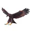 Mojo Animal Planet Orel / od 3 let