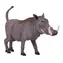 Mojo Animal Planet Prase savanové / od 3 let