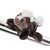 NICI magnetka Skunk Chiala 12cm / od 3 let