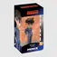 MINIX Anime: Detective Conan - Shinichi Kudo / od 17 let