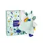 Doudou Dárková sada - Plyšový muchláček dinosaurus zelený 25 cm / od 0 let