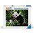 Ravensburger Panda / 500 dílků / od 12 let