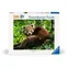 Ravensburger Panda červená / 500 dílků / od 12 let