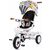 CHIPOLINO Tříkolka se stříškou Futuro 2v1 Graffiti / od 1.5 roku / do 25 kg