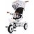 CHIPOLINO Tříkolka se stříškou Futuro 2v1 Space / od 1.5 roku / do 25 kg