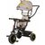 CHIPOLINO Tříkolka se stříškou Pulse 2v1 Tiger / od 1.5 roku / do 25 kg