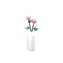 Flowers - Kategorie