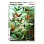 Piatnik Haeckel Kolibris / Počet dílků: 1000 / od 12 let
