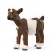 Schleich Zvířátko - Kůzle / od 3 let