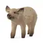Schleich Zvířátko - Sele mangalica / od 3 let