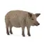 Schleich Zvířátko - Prase mangalica / od 3 let