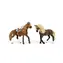 Schleich Startovací set Horse Club Paso Peruano / od 5 let