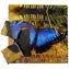 Just Jigsaws 601 Motýl a jeho životní cyklus - dřevěné vrstvené puzzle / 19 dílů / od 3 let