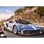 Castorland 27675-1 Puzzle Arrinera Hussarya GT / 260 dílků / od 8 let