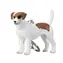 Mojo Klíčenka Jack Russel teriér / od 3 let