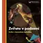 Svojtka & Co. Zvířata v podzemí Kniha s kouzelnou baterkou / od 3 let