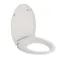 Villeroy & Boch  - WC sedátko, SoftClosing, QuickRelease, alpská bílá 